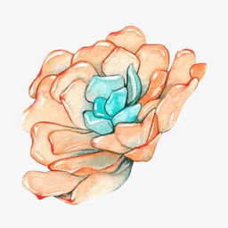 小墨多肉日记手机版下载v1.0 安卓版