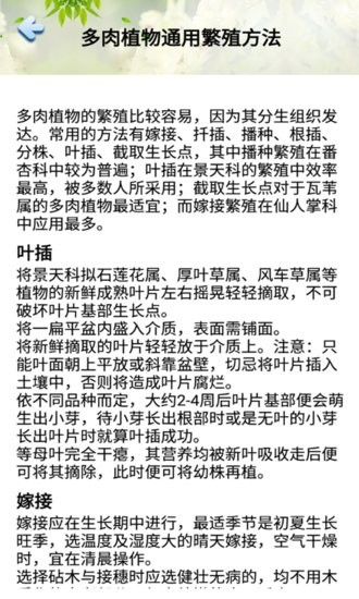 小墨多肉日记软件