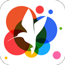 360小鸟壁纸app下载v3.0.2 最新版