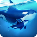 小小水世界内购版下载v4.42.1官方下载