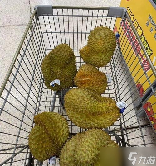 魔兽世界中的熟透榴莲