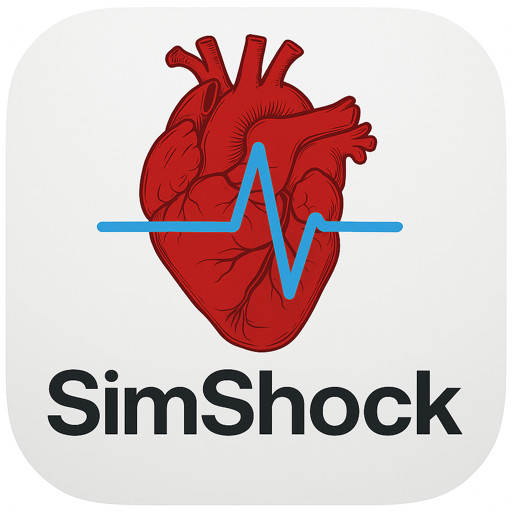 SimShockDesktop血流动力学模拟器