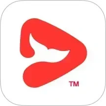 鸿蒙版【锦书在线】官方下载_锦书在线鸿蒙手机APP免费下载官方下载