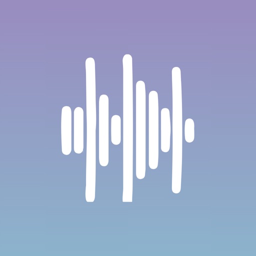 语音转换文字录音专家Oryn