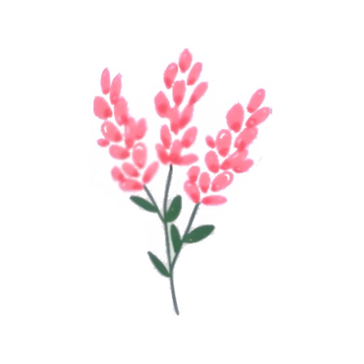 Fleur记账_记账软件记账本