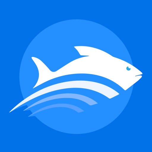 小飞鱼加速器_网络性能优化服务