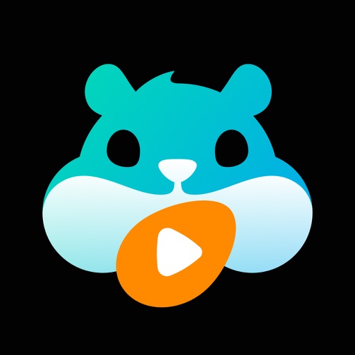 HamHub_你的私人云影专家